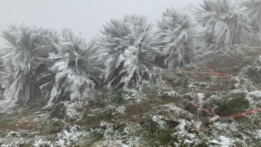 Strong cold spell expected ahead of New Year holiday